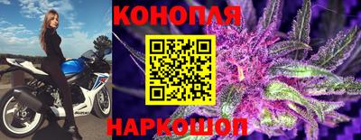 спиды Кандалакша