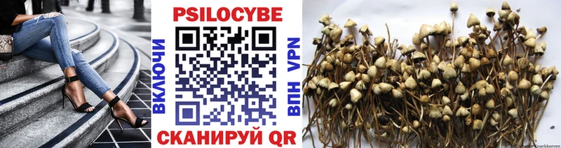 Псилоцибиновые грибы прущие грибы  где купить наркоту  Лангепас 